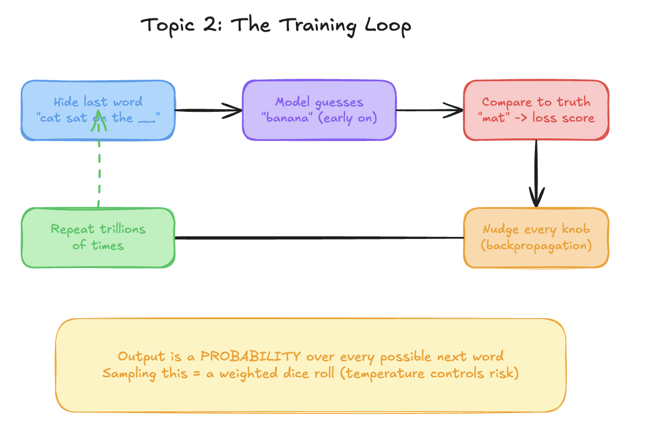 The training loop: hide the last word, let the model guess, compare the guess to the truth for a loss score, nudge every knob (backpropagation), repeat trillions of times. The output is a probability distribution, sampled like a weighted dice roll.