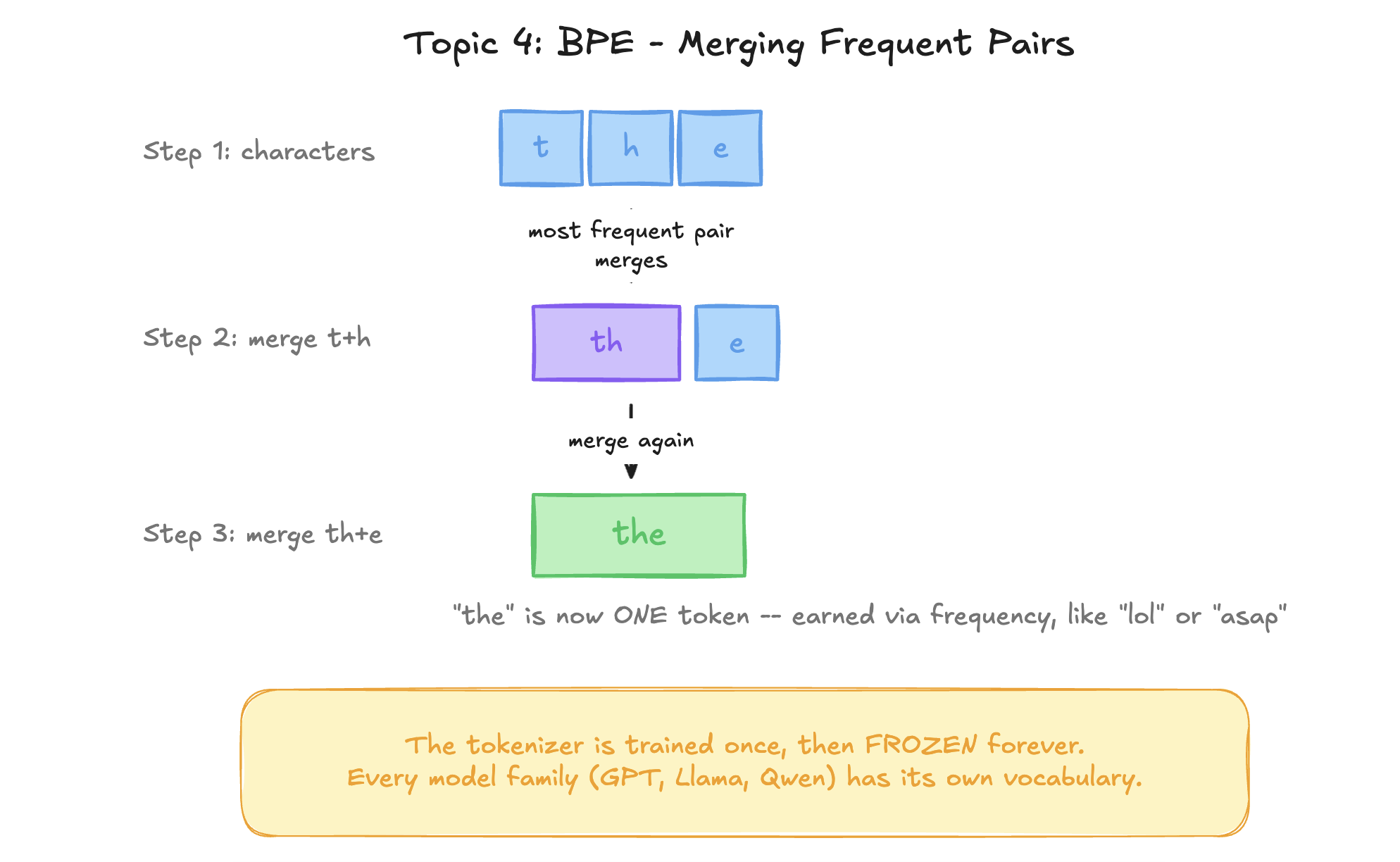 BPE merging frequent pairs step by step: characters t-h-e merge to th+e, then to the single token “the” — earned through frequency, the same way “lol” or “asap” became shortcuts. The tokenizer is trained once, then frozen forever.